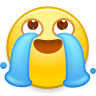:wb_tears: